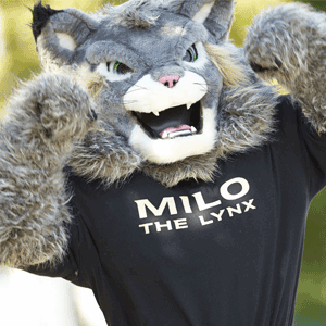 An image of the mascot Milo