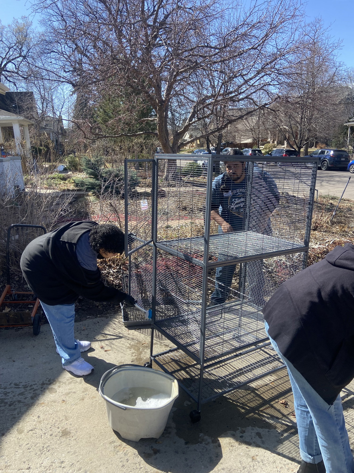 Cleaning Ferret Cages