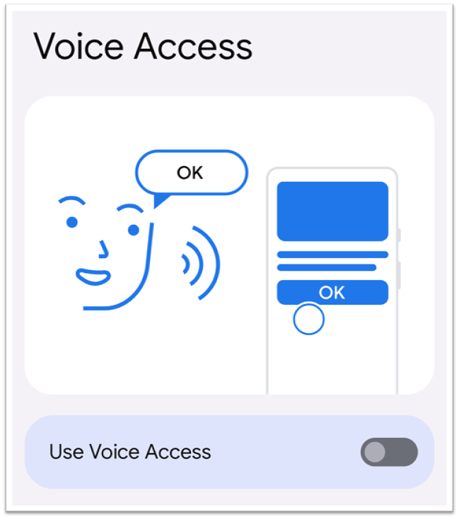 voice access settings