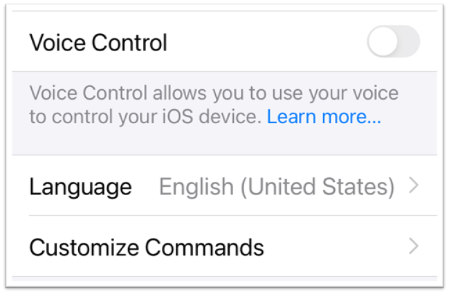voice control setting