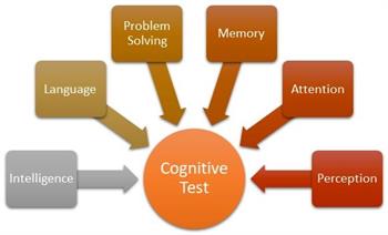 Diagram : Intelligence, language, problem solving, memory attention and perception components of cognitive test