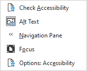 Screenshot of accessibility menu